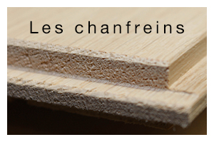 chanfreins