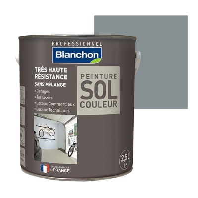 Peinture Sol Couleur Gris Fonc� Blanchon