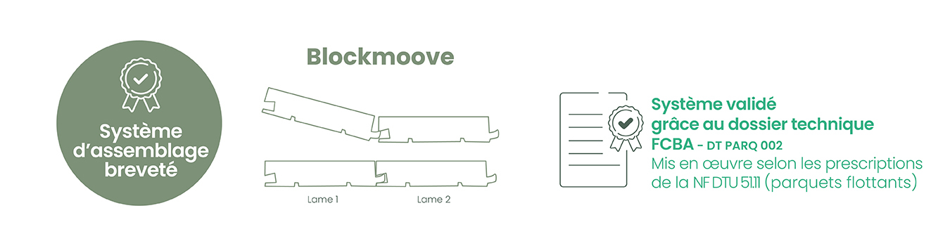 Syst�me brevet� Blockmoove Validation dossier technique FCBA