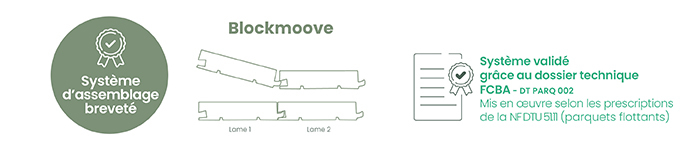 Syst�me brevet� Blockmoove Validation dossier technique FCBA